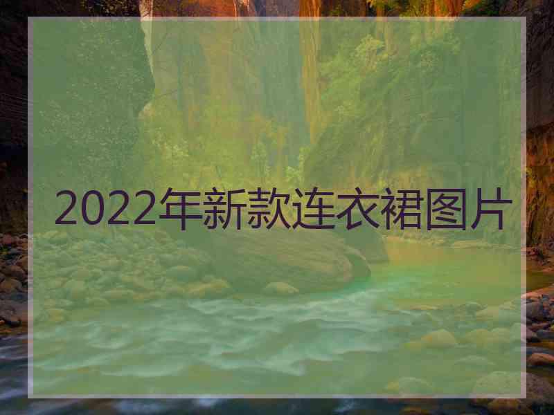 2022年新款连衣裙图片