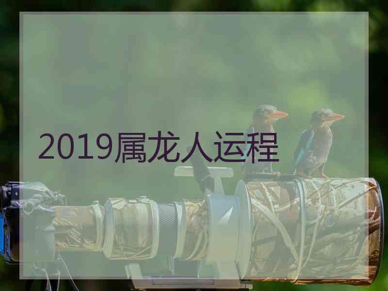 2019属龙人运程