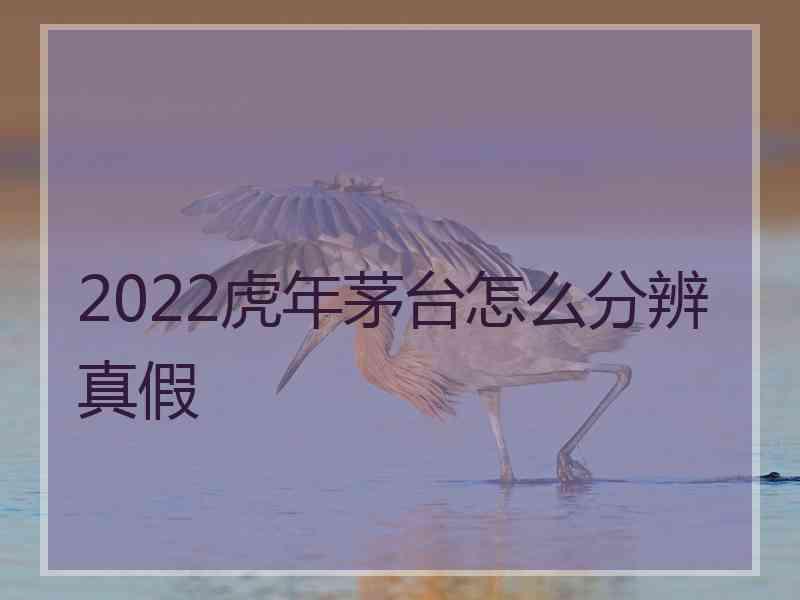 2022虎年茅台怎么分辨真假