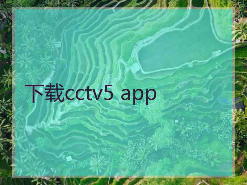 下载cctv5 app