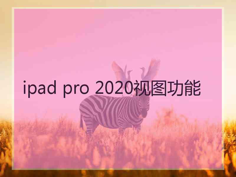 ipad pro 2020视图功能