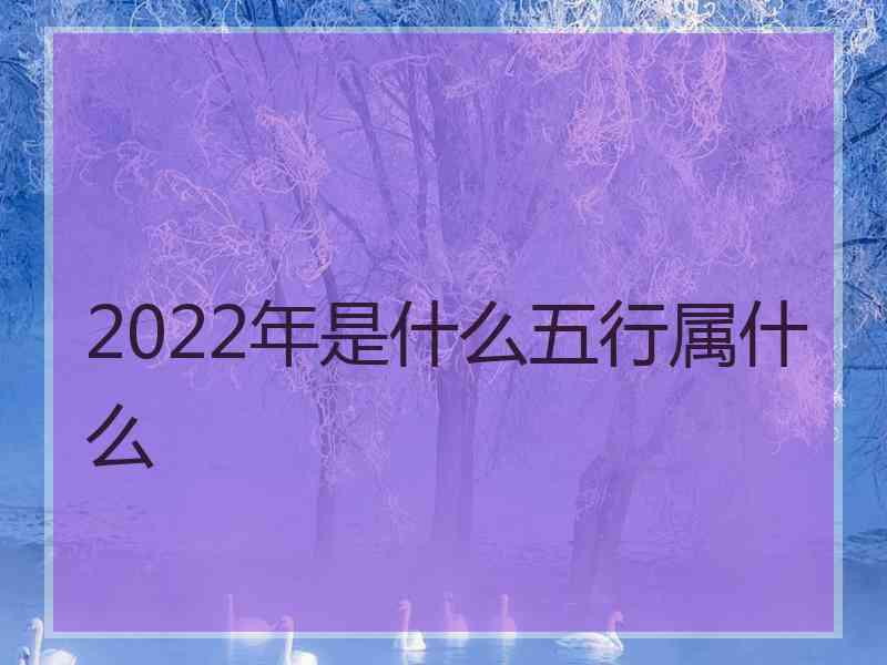 2022年是什么五行属什么