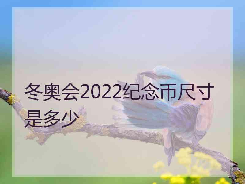 冬奥会2022纪念币尺寸是多少