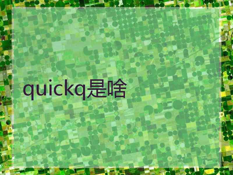 quickq是啥