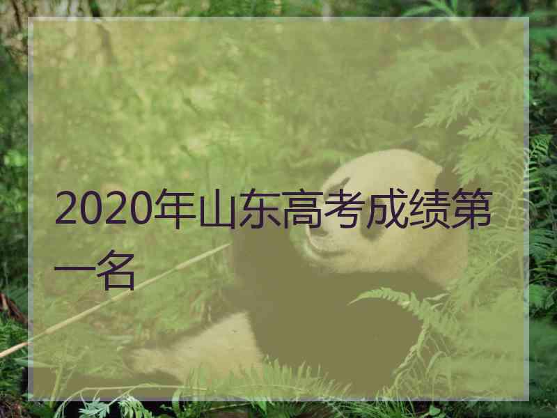 2020年山东高考成绩第一名