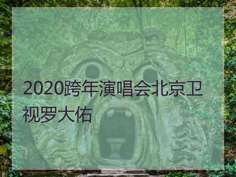 2020跨年演唱会北京卫视罗大佑