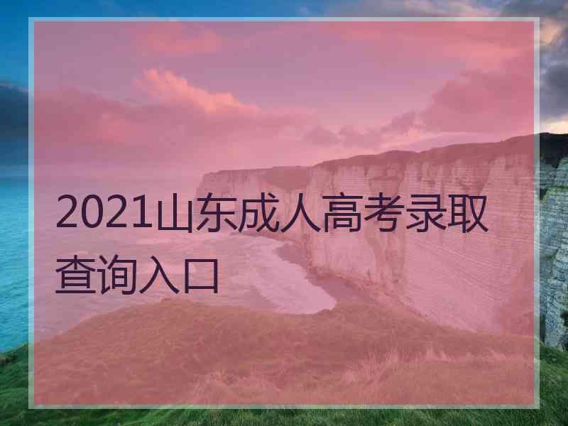 2021山东成人高考录取查询入口