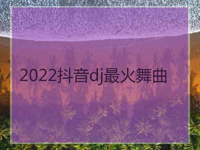 2022抖音dj最火舞曲