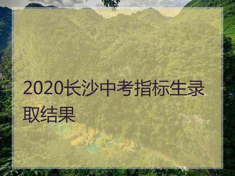 2020长沙中考指标生录取结果