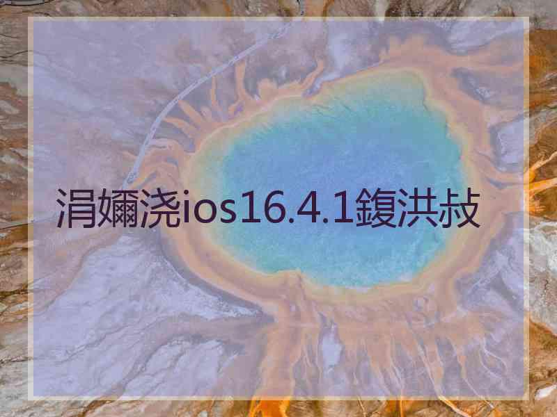 涓嬭浇ios16.4.1鍑洪敊