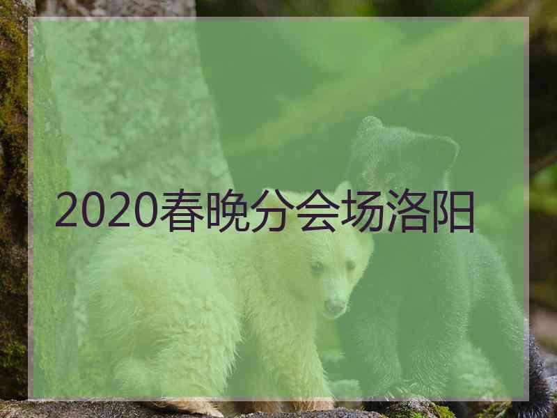 2020春晚分会场洛阳