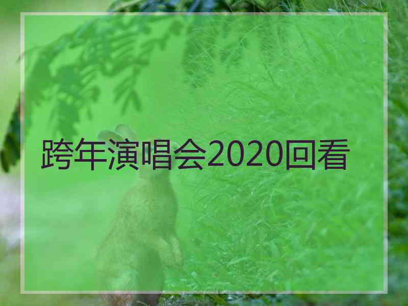 跨年演唱会2020回看