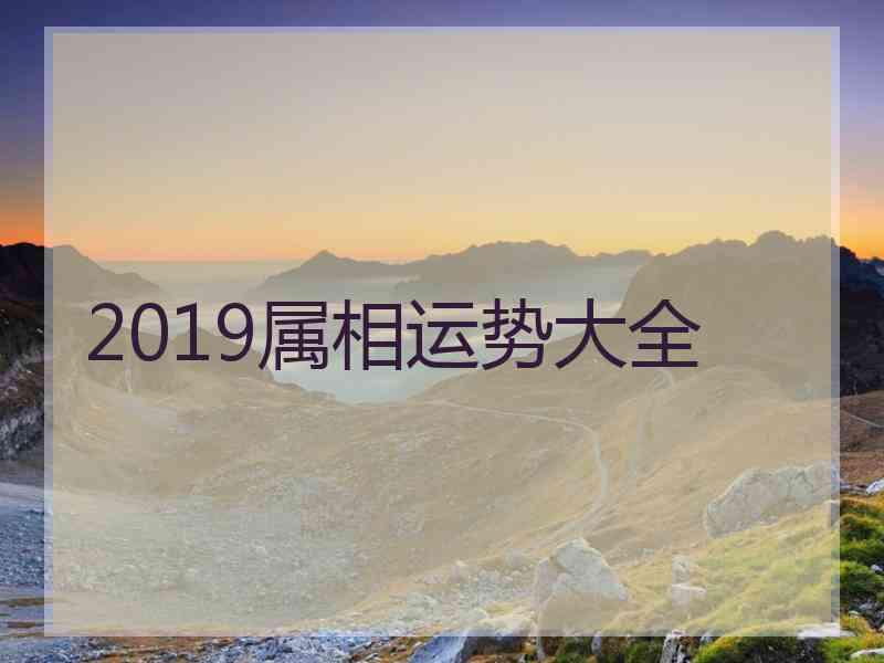 2019属相运势大全