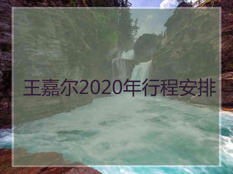 王嘉尔2020年行程安排