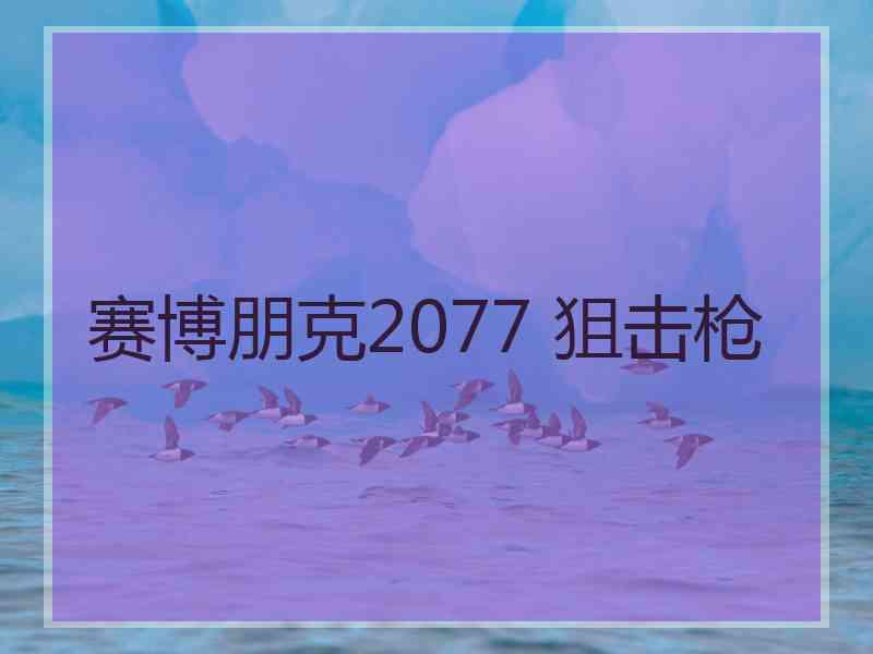 赛博朋克2077 狙击枪