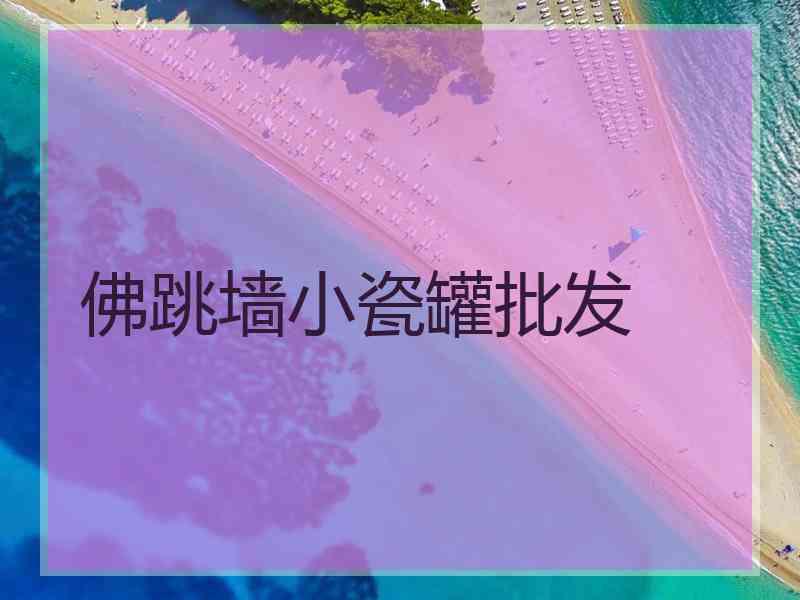 佛跳墙小瓷罐批发