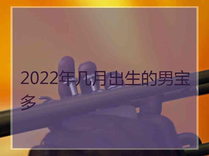 2022年几月出生的男宝多