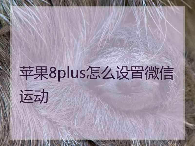 苹果8plus怎么设置微信运动