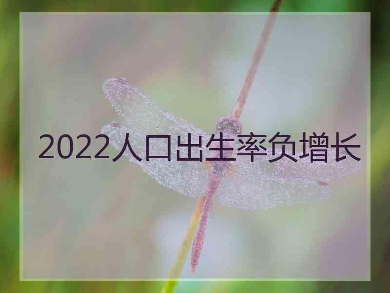 2022人口出生率负增长