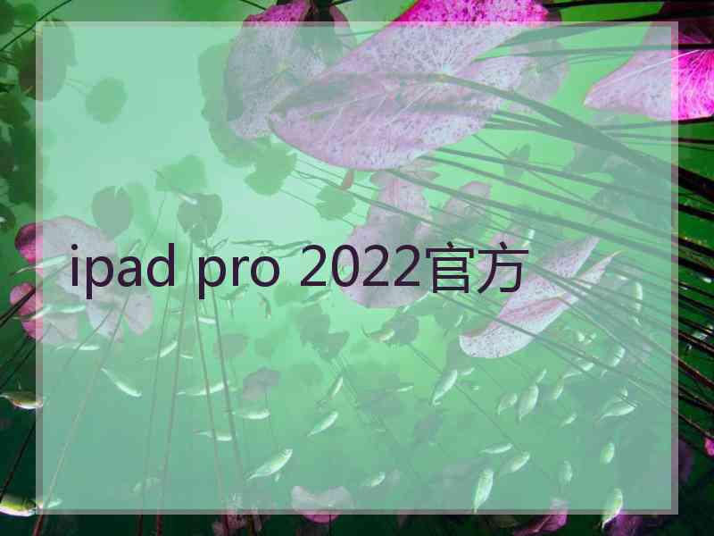 ipad pro 2022官方