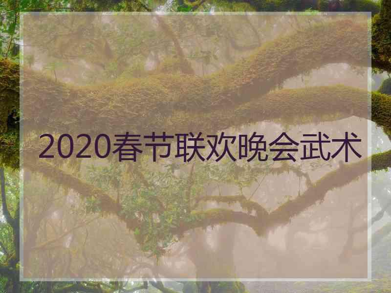 2020春节联欢晚会武术