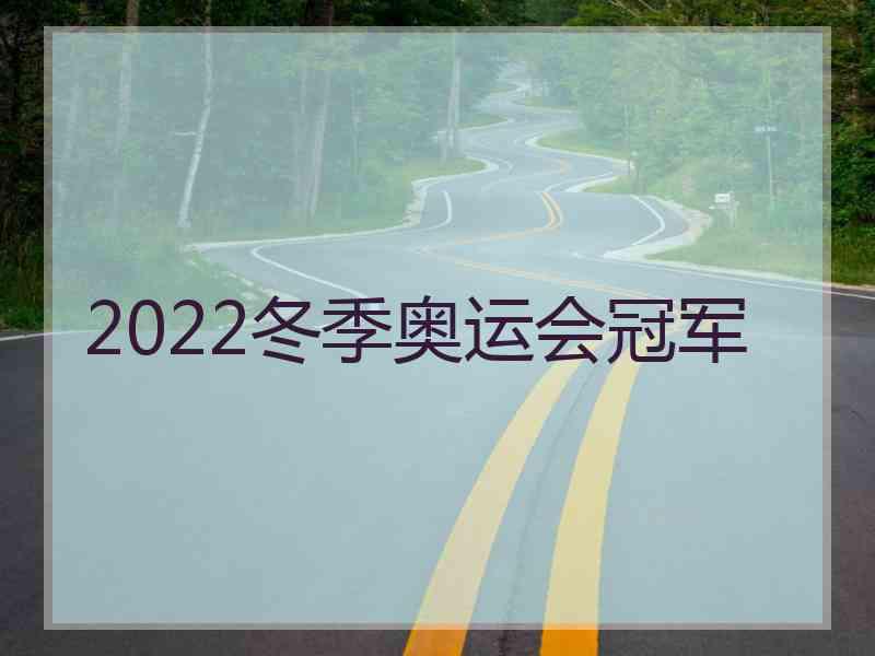 2022冬季奥运会冠军