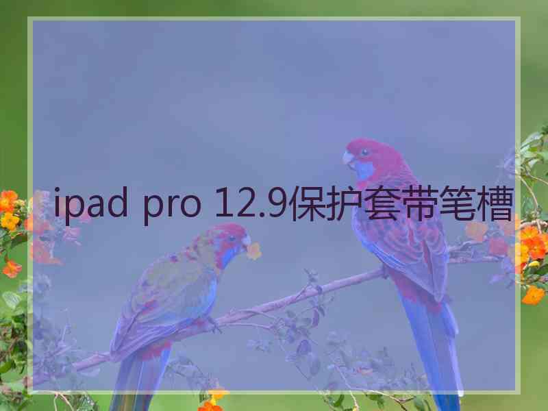 ipad pro 12.9保护套带笔槽