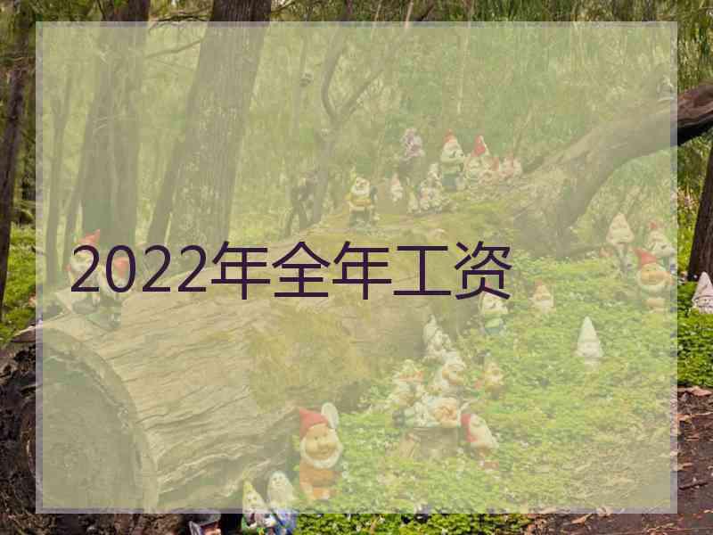 2022年全年工资