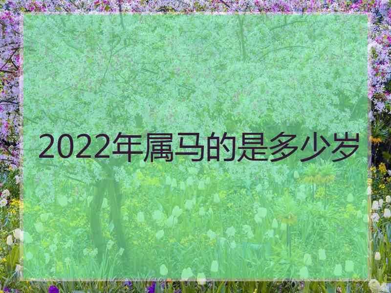 2022年属马的是多少岁