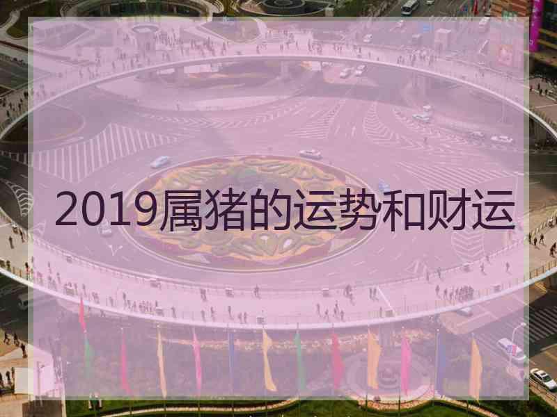 2019属猪的运势和财运