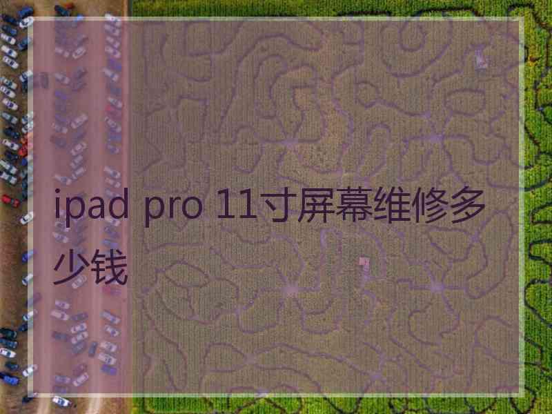 ipad pro 11寸屏幕维修多少钱