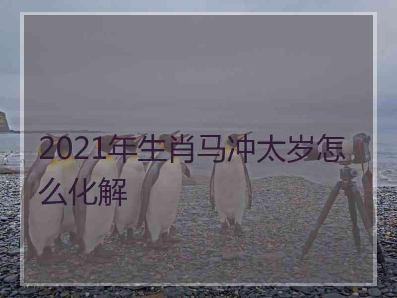 2021年生肖马冲太岁怎么化解