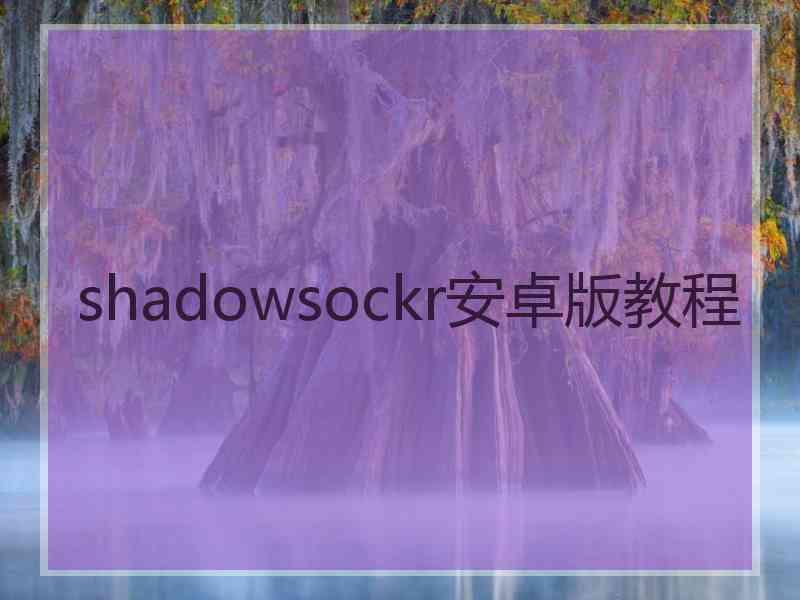 shadowsockr安卓版教程