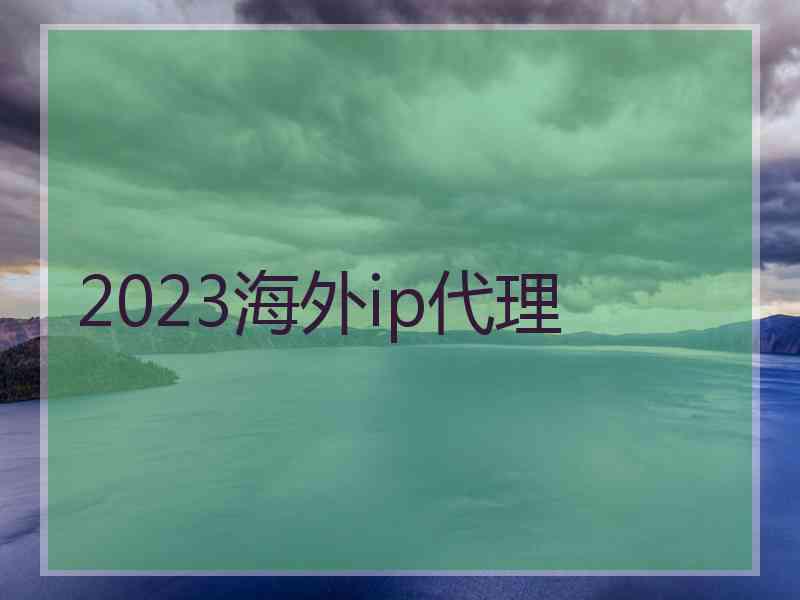 2023海外ip代理