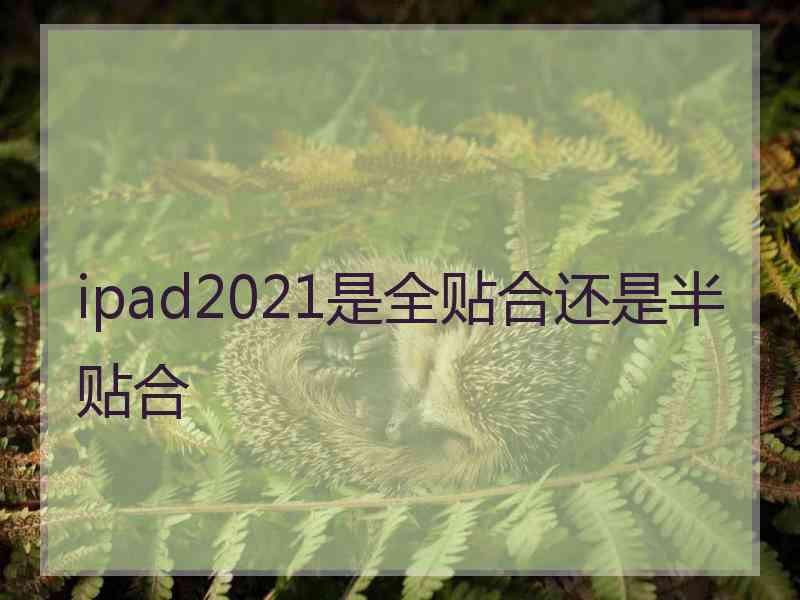 ipad2021是全贴合还是半贴合