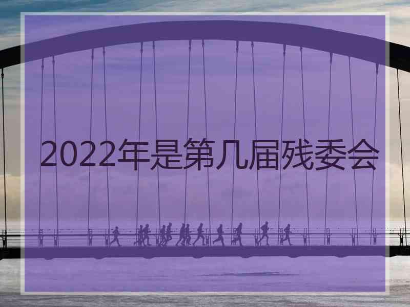 2022年是第几届残委会