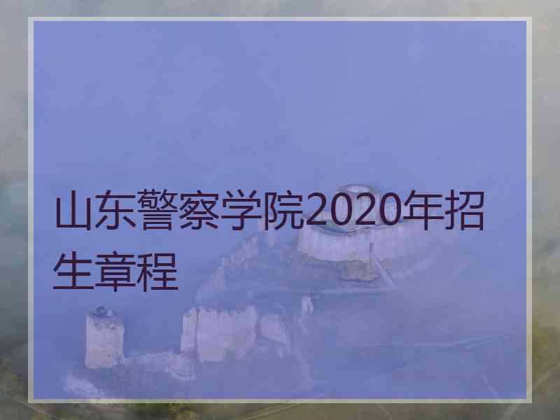 山东警察学院2020年招生章程