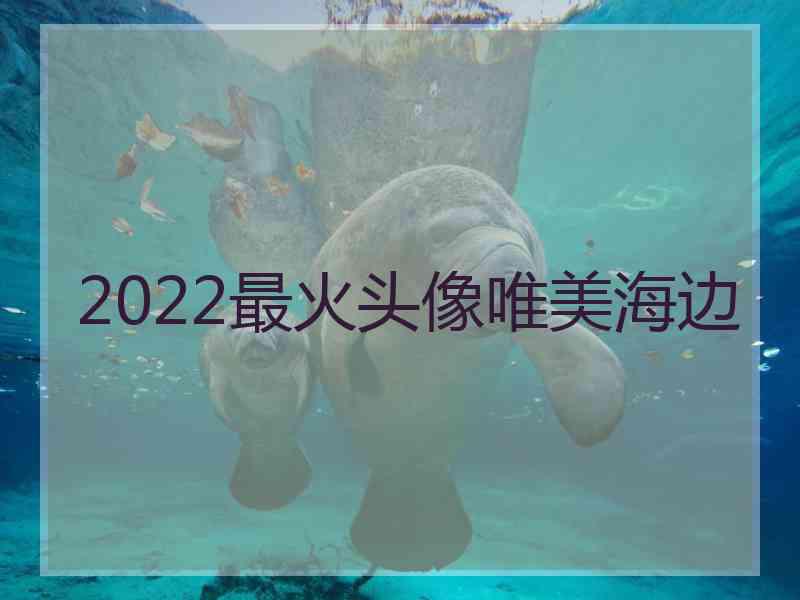 2022最火头像唯美海边