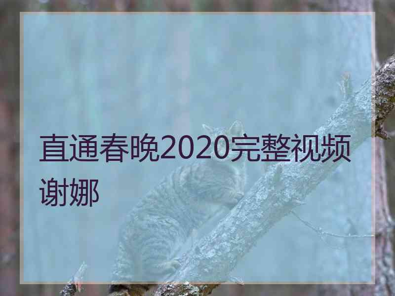 直通春晚2020完整视频谢娜