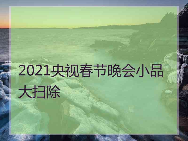 2021央视春节晚会小品大扫除