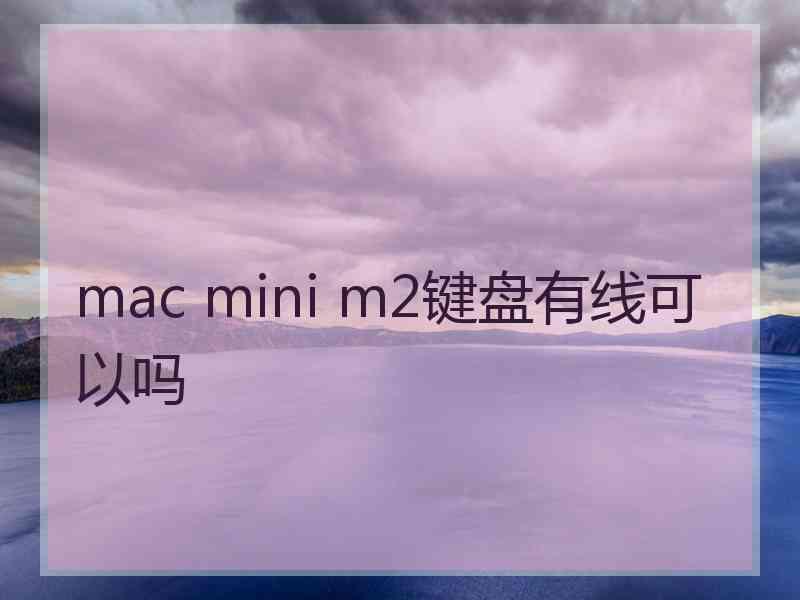 mac mini m2键盘有线可以吗