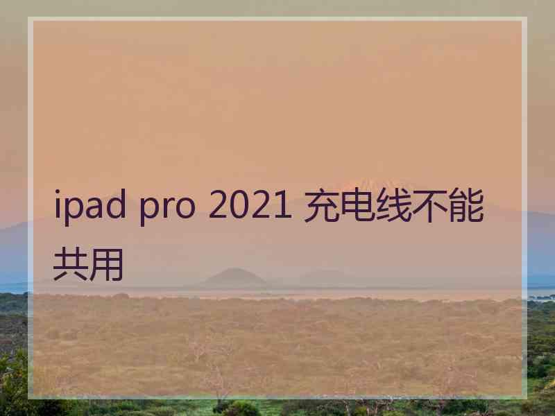 ipad pro 2021 充电线不能共用