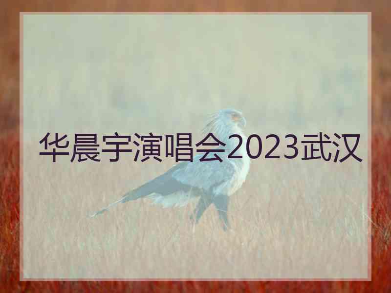 华晨宇演唱会2023武汉