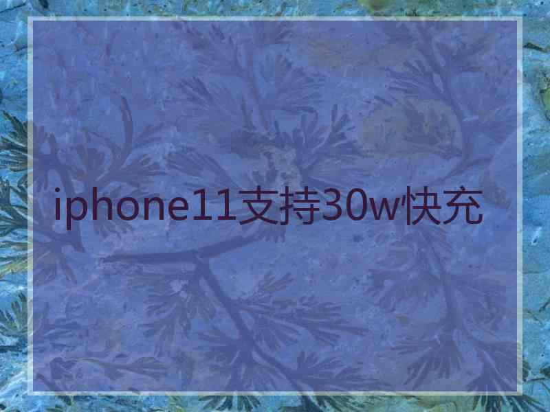 iphone11支持30w快充