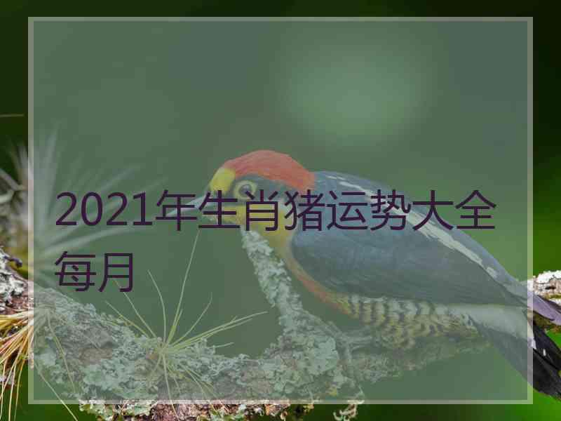 2021年生肖猪运势大全每月