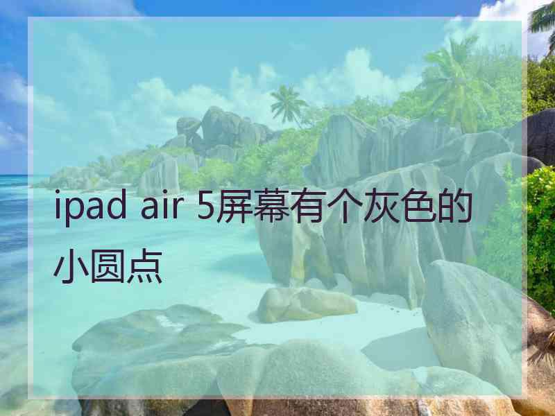 ipad air 5屏幕有个灰色的小圆点