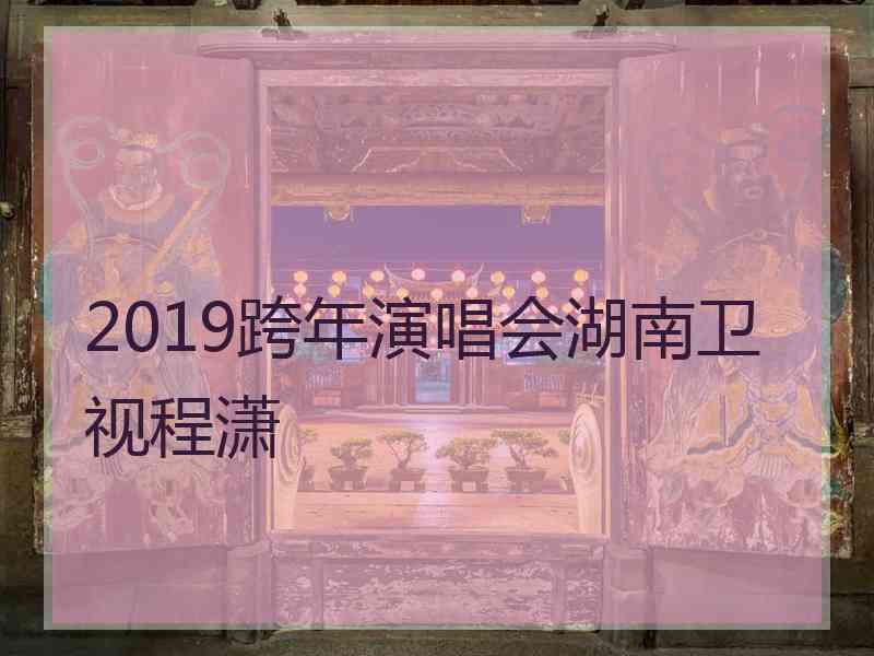 2019跨年演唱会湖南卫视程潇