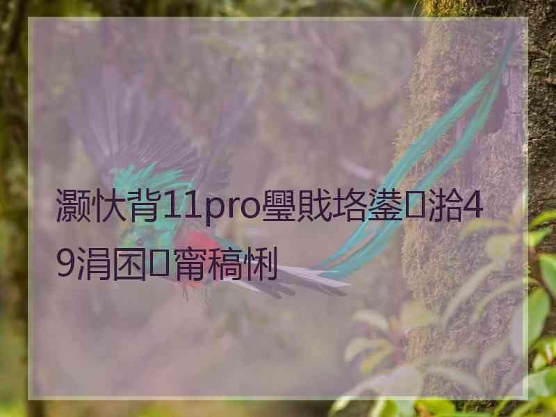 灏忕背11pro璺戝垎鍙湁49涓囨甯稿悧