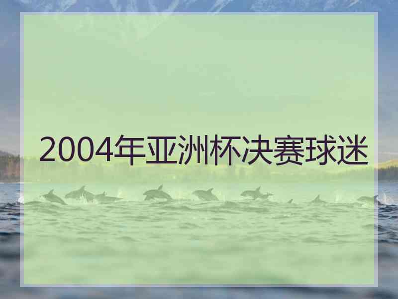 2004年亚洲杯决赛球迷