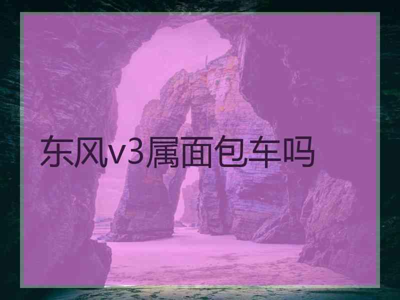 东风v3属面包车吗